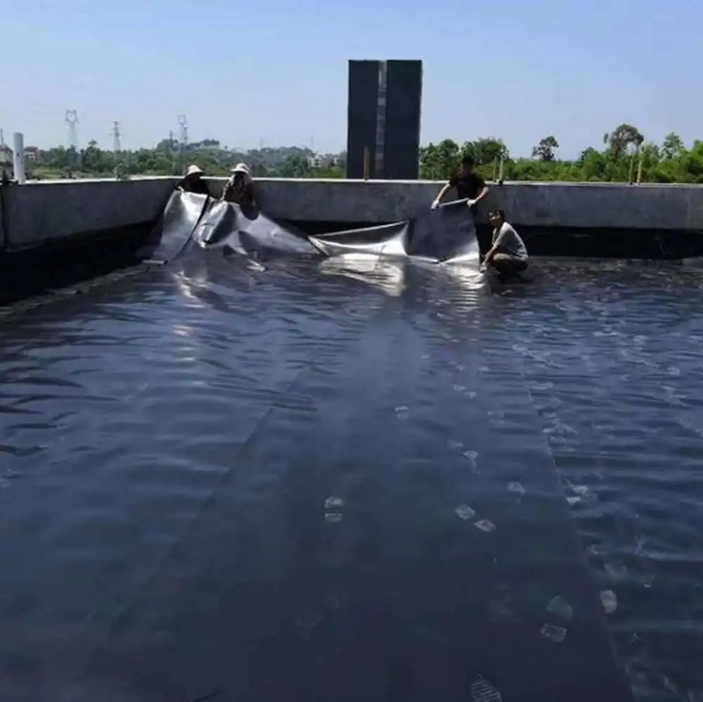 5_348_1939470_1000_999 5_348_1939470_1000_999