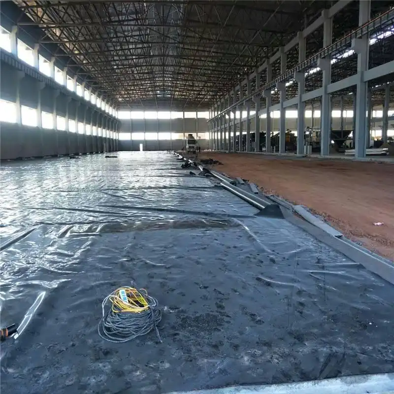 5_92_1659430_800_800 5_92_1659430_800_800